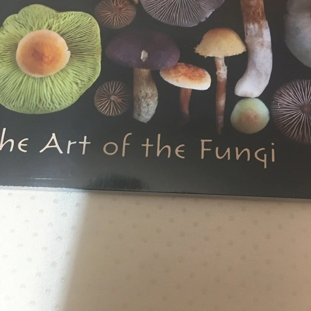 Moritz Schmid Art‎ of the Mushroom 2026 12